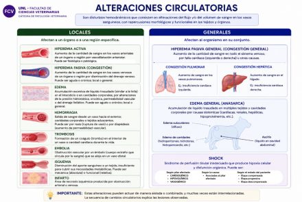 Alteraciones Circulatorias