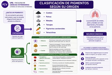 Alteraciones Pigmentarias