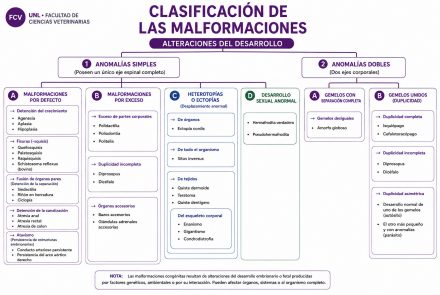 Alteraciones del Desarrollo
