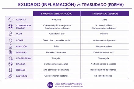 Inflamación