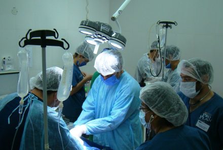 Galería de fotos de la Facultad de Ciencias Veterinarias