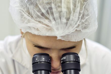 Galería de fotos de la Facultad de Ciencias Veterinarias