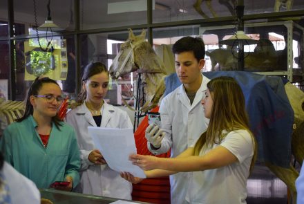 Galería de fotos de la Facultad de Ciencias Veterinarias