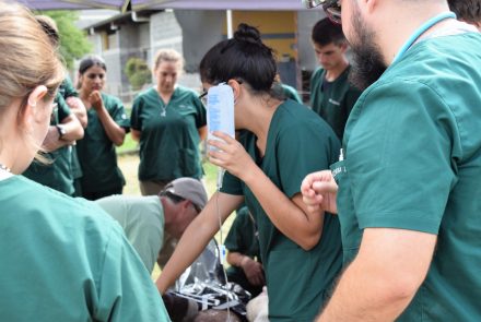 Galería de fotos de la Facultad de Ciencias Veterinarias