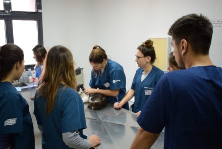 Galería de fotos de la Facultad de Ciencias Veterinarias