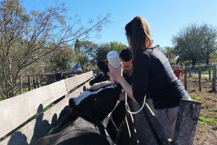 Galería de fotos de la Facultad de Ciencias Veterinarias