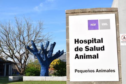Galería de fotos de la Facultad de Ciencias Veterinarias