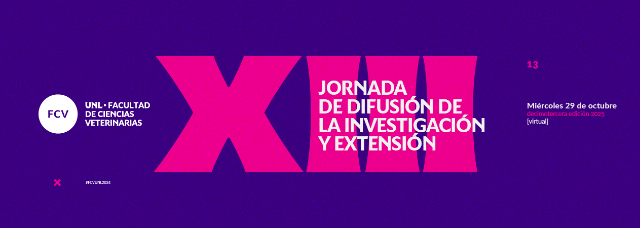 05_Jornda-IE-13Edicion_SliderWeb_1263x450_3-7-2025_v-01