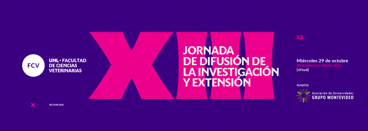 05_Jornda-IE-13Edicion_SliderWeb_AUGM